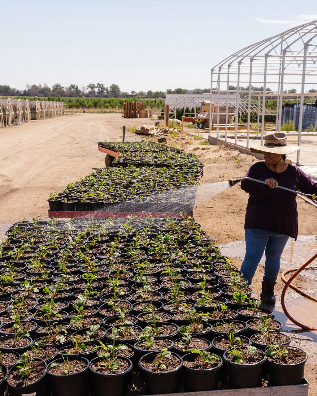 10 Reasons Why Arbor Valley Nursery is the Best for Landscapers in